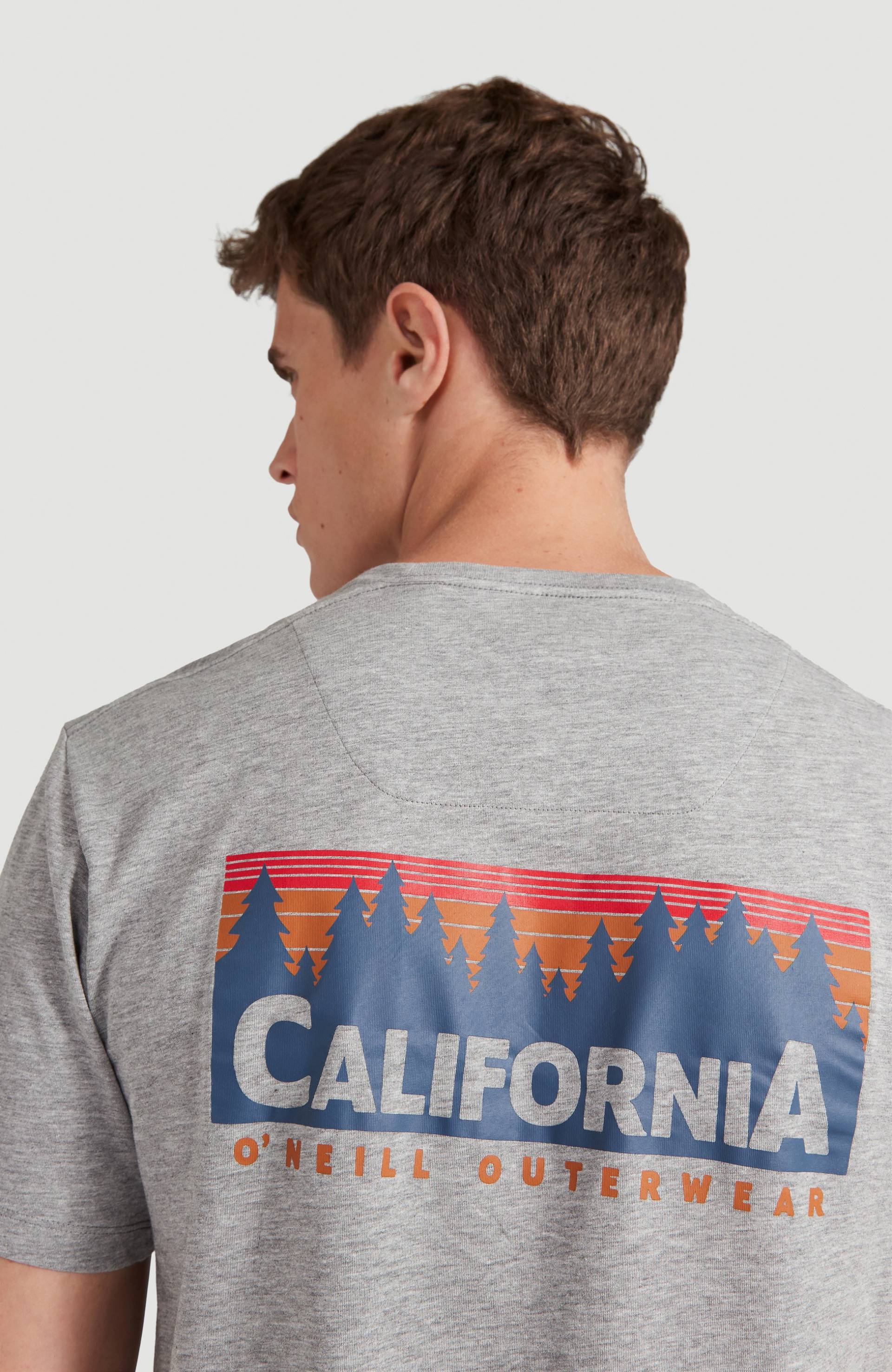 O'Neill T-Shirt »"Rocky Mountains"« von O'Neill