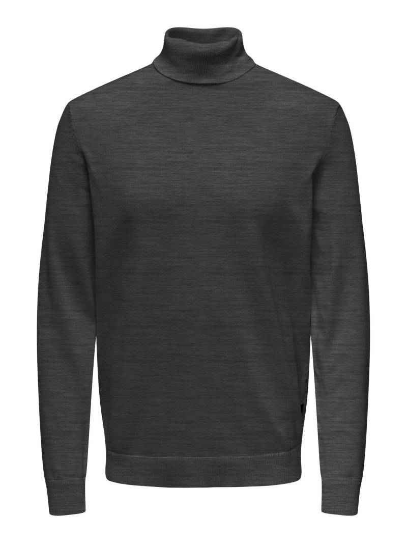 ONLY & SONS Rollkragenpullover »ONSALEX REG 12 ROLL KNIT« von ONLY & SONS