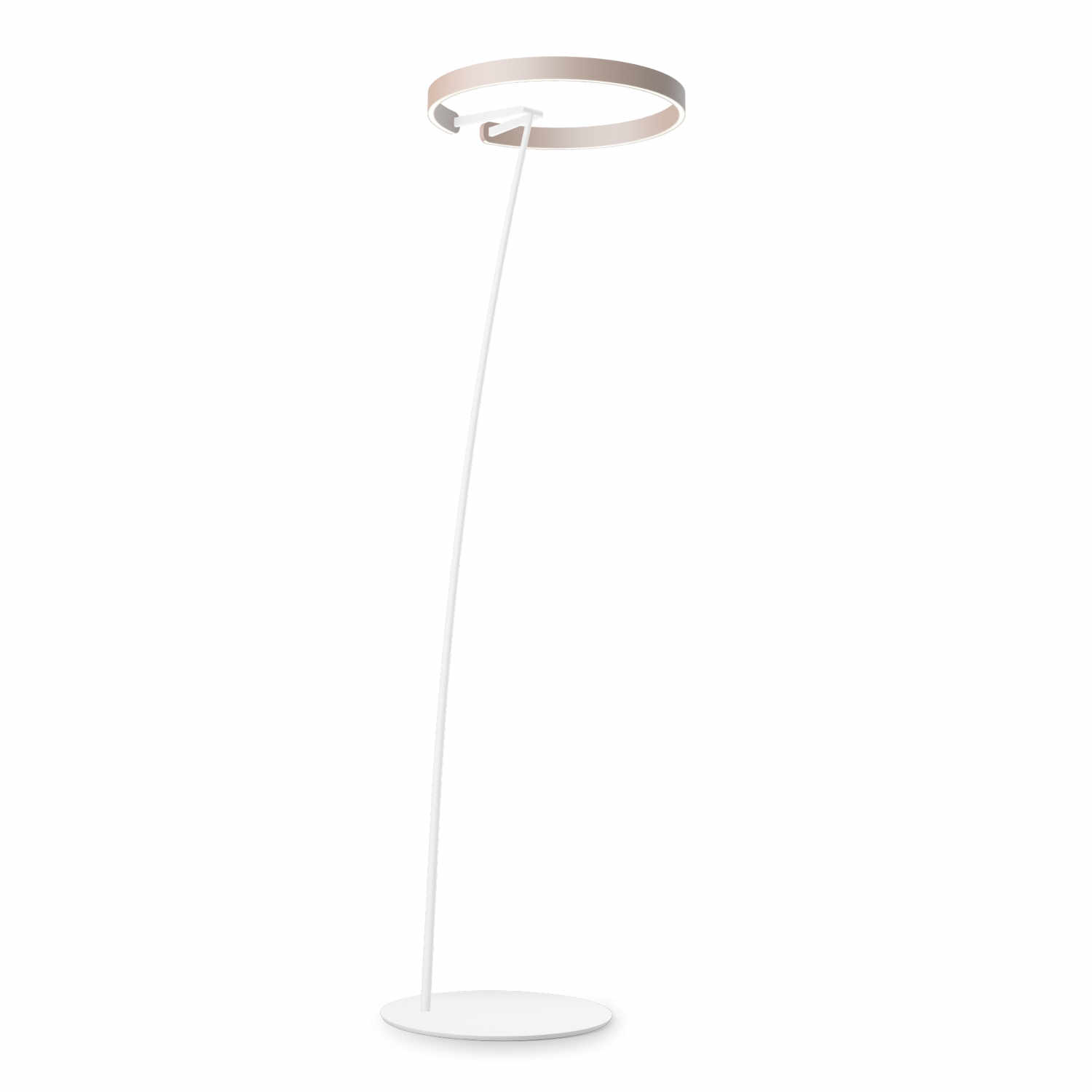 Mito Raggio LED Stehleuchte, Kopf / Body gold matt/weiss matt Mito Raggio LED Stehleuchte, Kopf / Body gold matt/weiss matt von Occhio