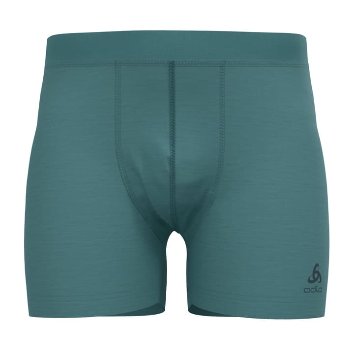 Odlo Merino 160 Boxershorts mint von Odlo