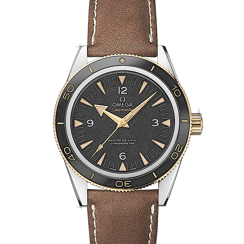 Omega Seamaster 300 Master Co-Axial von Omega