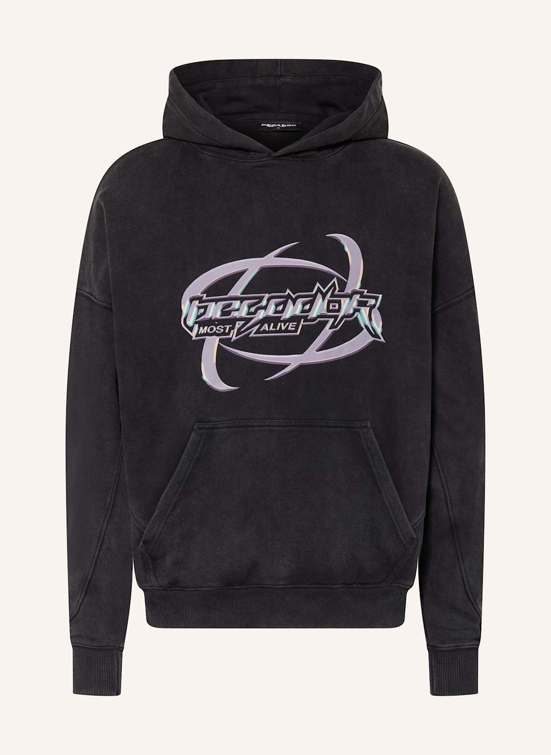 Pegador Hoodie Mill schwarz Pegador Hoodie Mill schwarz von PEGADOR