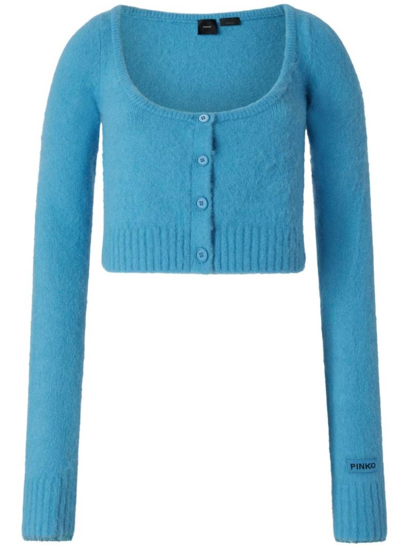 PINKO Colorpoint cardigan - Blue von PINKO