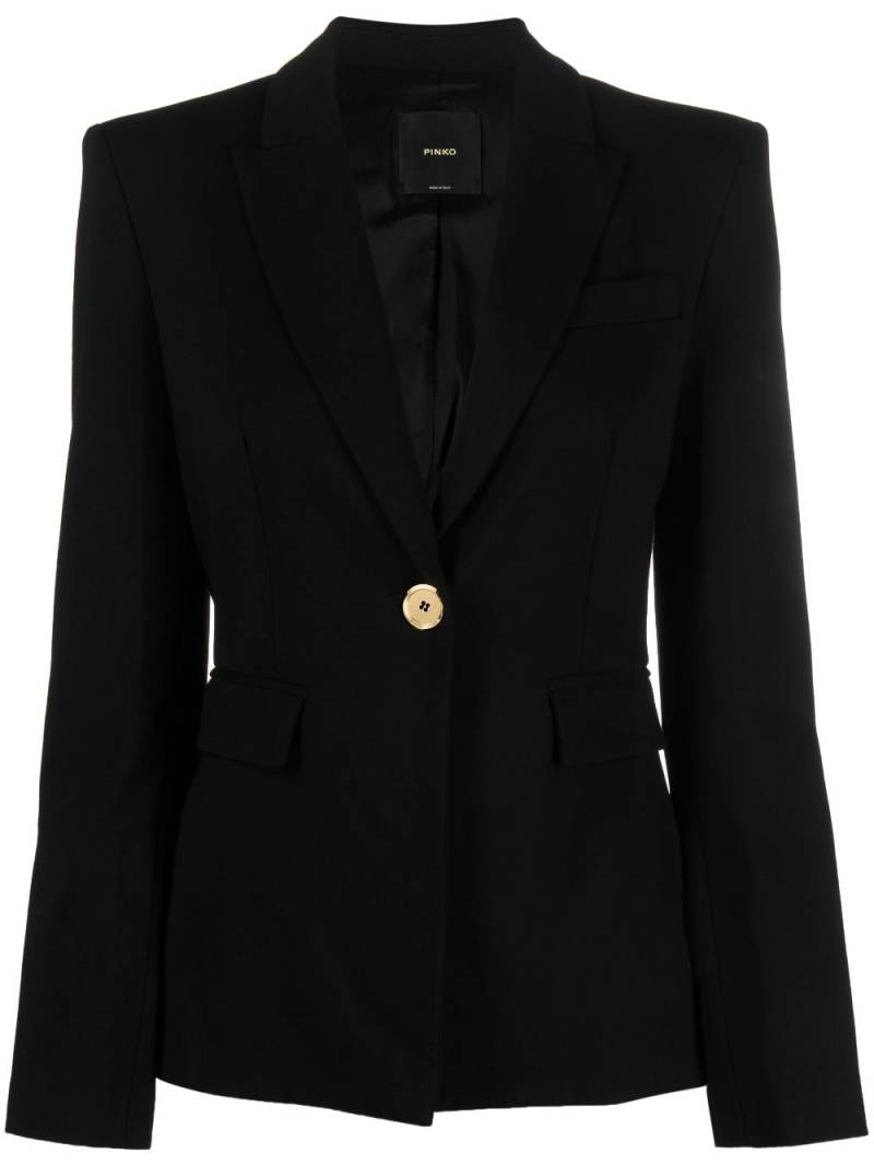 PINKO single-breasted blazer - Black von PINKO