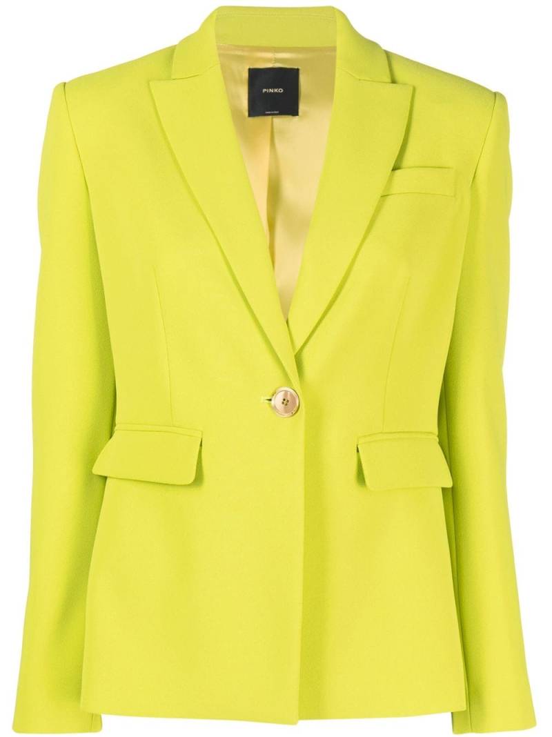 PINKO single-breasted cady blazer - Green von PINKO