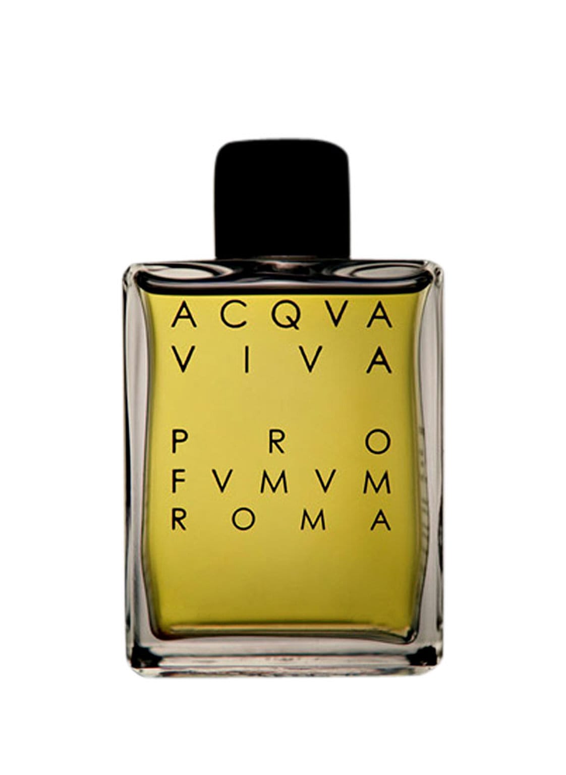 Pro Fvmvm Roma Acqva Viva Eau de Parfum 100 ml von PRO FVMVM ROMA