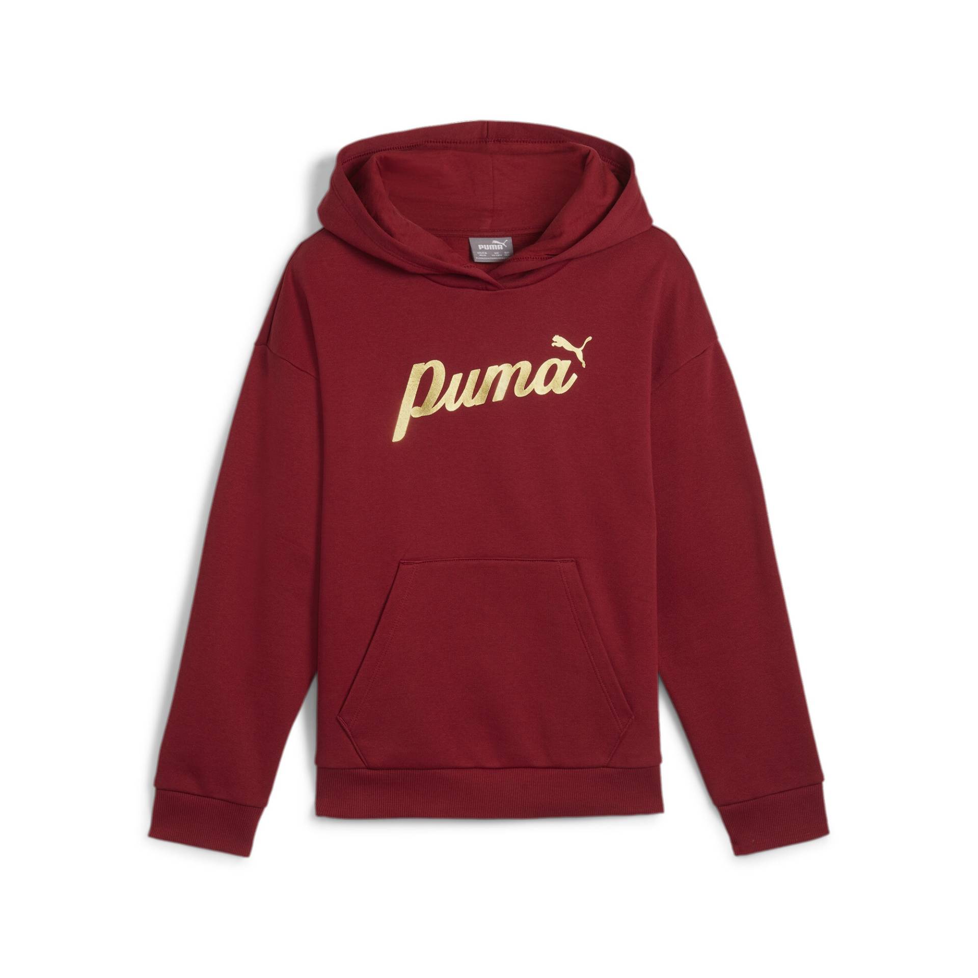 PUMA Kapuzensweatshirt »ESS+ SCRIPT METALLIC HOODIE FL G« von PUMA