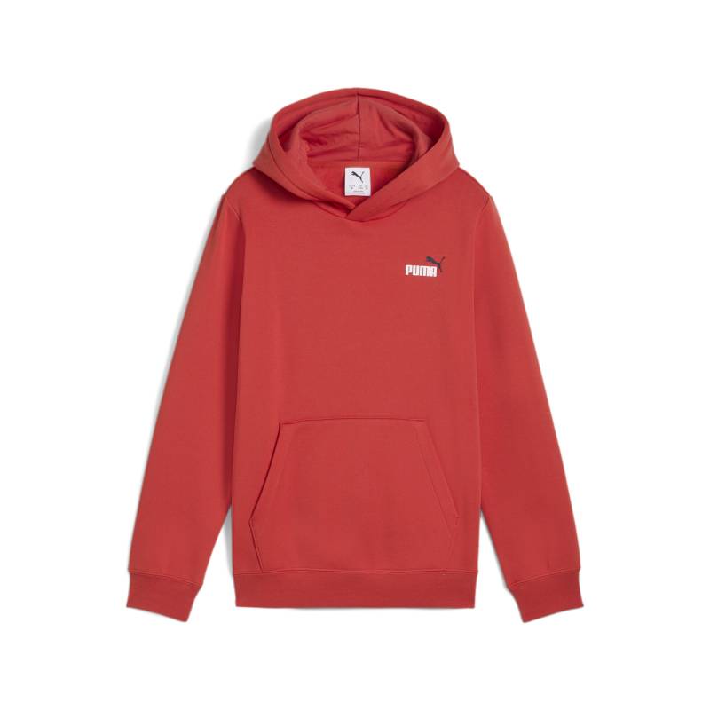 PUMA Kapuzensweatshirt »ESS 2 COLOR SMALL NO. 1 LOGO HOODIE FL B« von PUMA