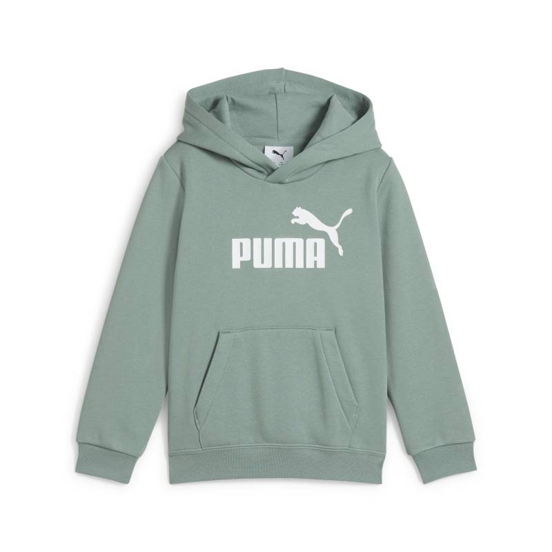 PUMA Kapuzensweatshirt »ESS NO. 1 LOGO HOODIE FL PS« von PUMA