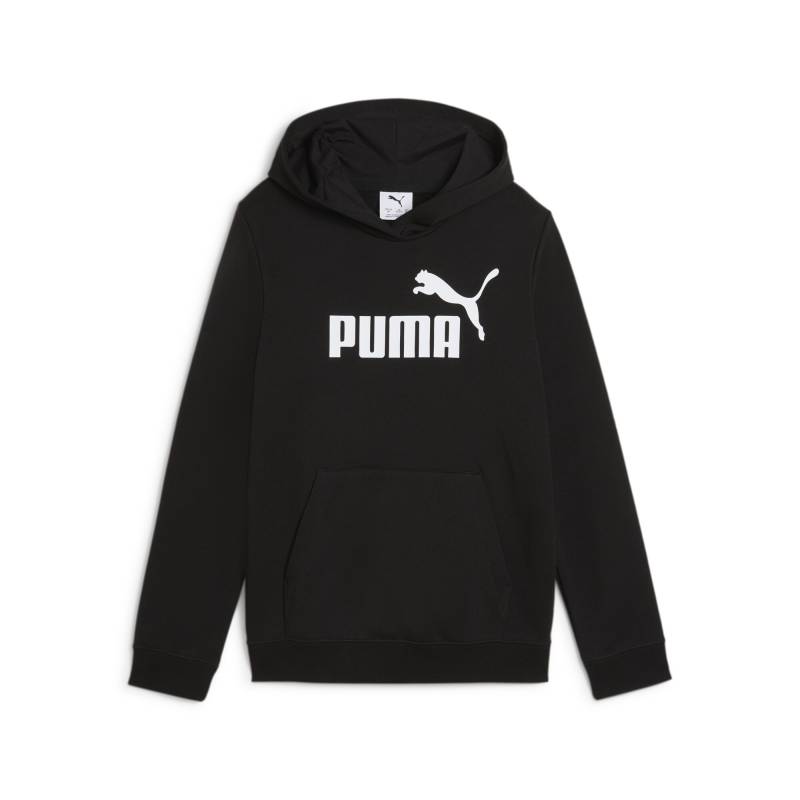 PUMA Kapuzensweatshirt »ESS NO. 1 LOGO HOODIE TR G« von PUMA