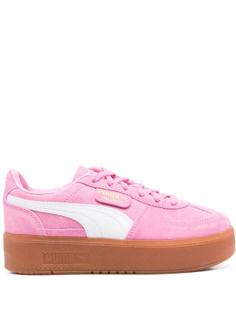 PUMA Palermo Elevata sneakers - Pink von PUMA