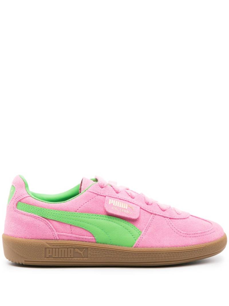 PUMA Palermo "Pink Delight Green" von PUMA