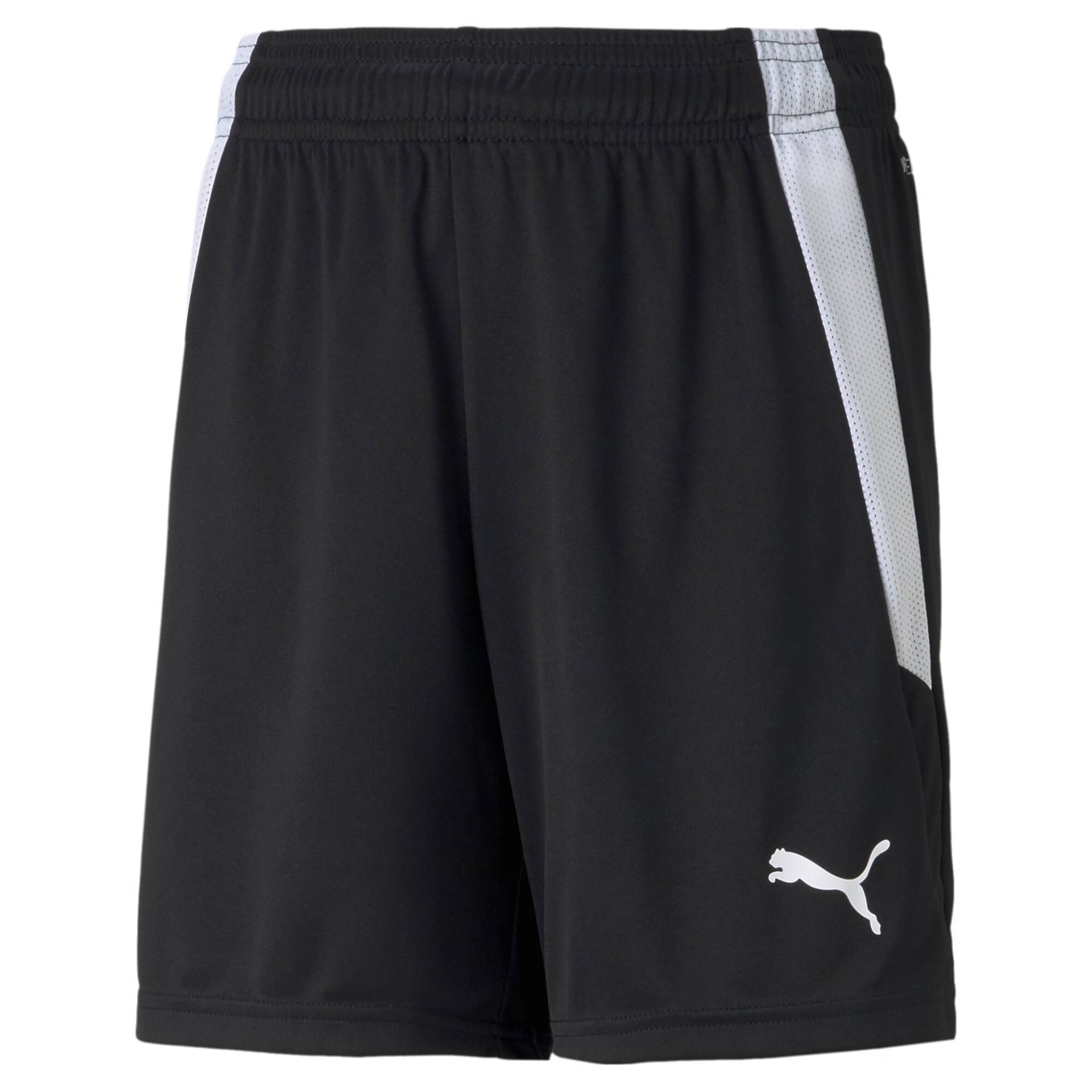 PUMA Trainingsshorts »TEAMLIGA SHORTS JR« von PUMA