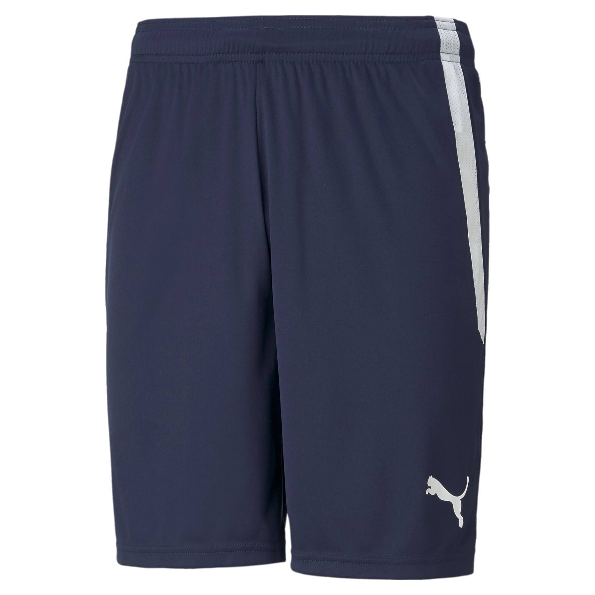 PUMA Trainingsshorts »TEAMLIGA SHORTS« von PUMA