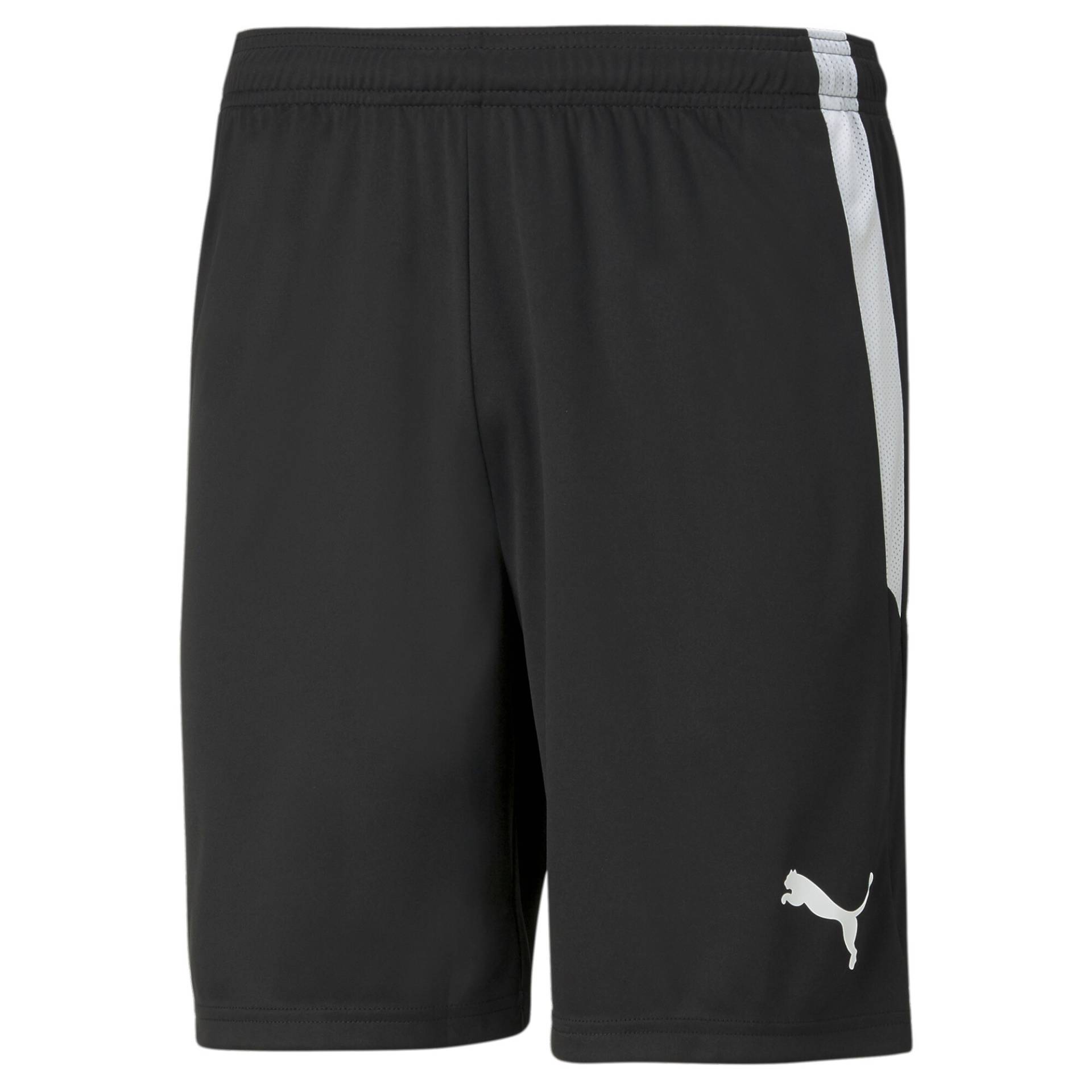 PUMA Trainingsshorts »TEAMLIGA SHORTS« von PUMA