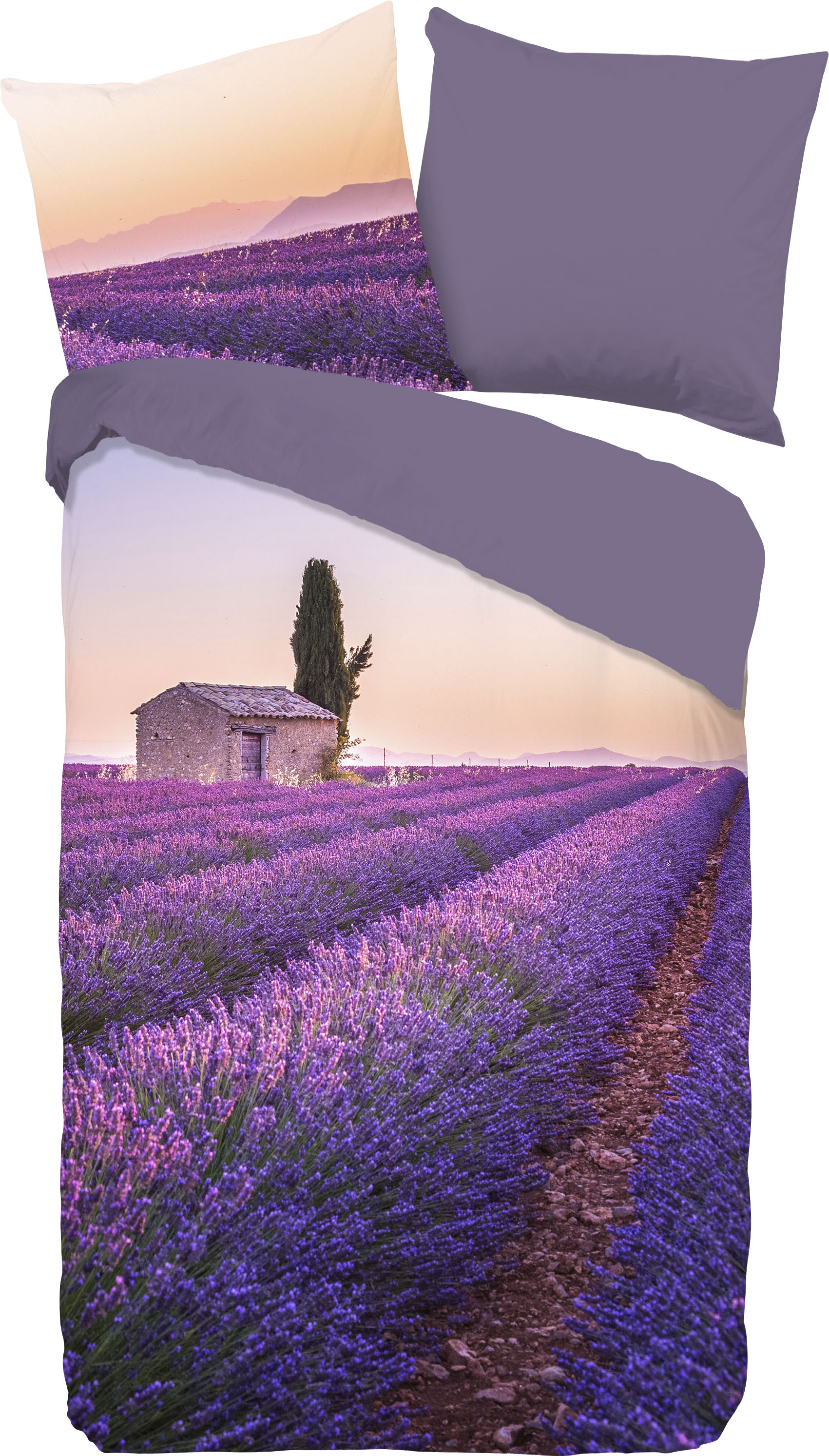 PURE luxury collection Wendebettwäsche »Lavender«, Mikrofaser, 135x200, Pflegeleicht, Reissverschluss, Wendeoptik Lavendel von PURE luxury collection