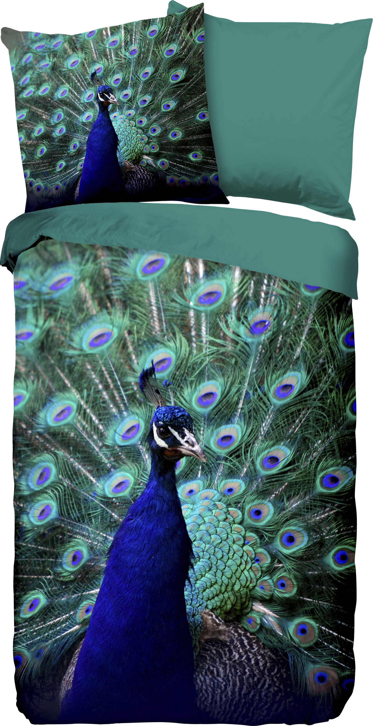 PURE luxury collection Wendebettwäsche »Peacock«, mit Pfau von PURE luxury collection