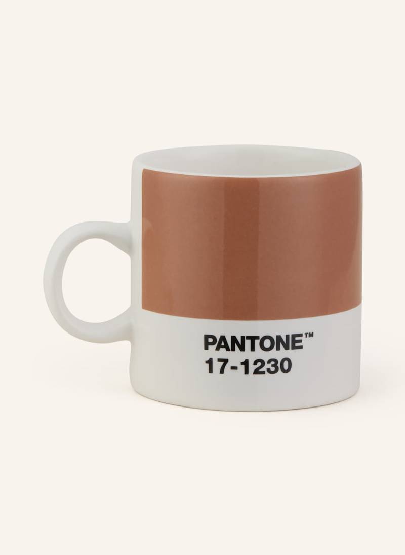 Pantone Espressotasse Coy 2025 braun von Pantone