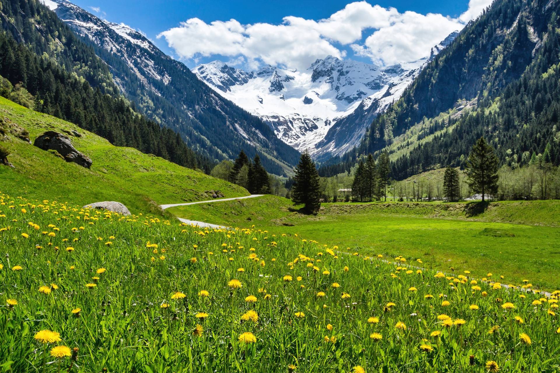 Papermoon Fototapete »ALPEN TIROL GEBIRGE« von Papermoon