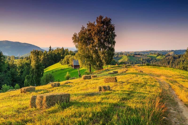 Papermoon Fototapete »ALPINE LANDSCHAFT« von Papermoon