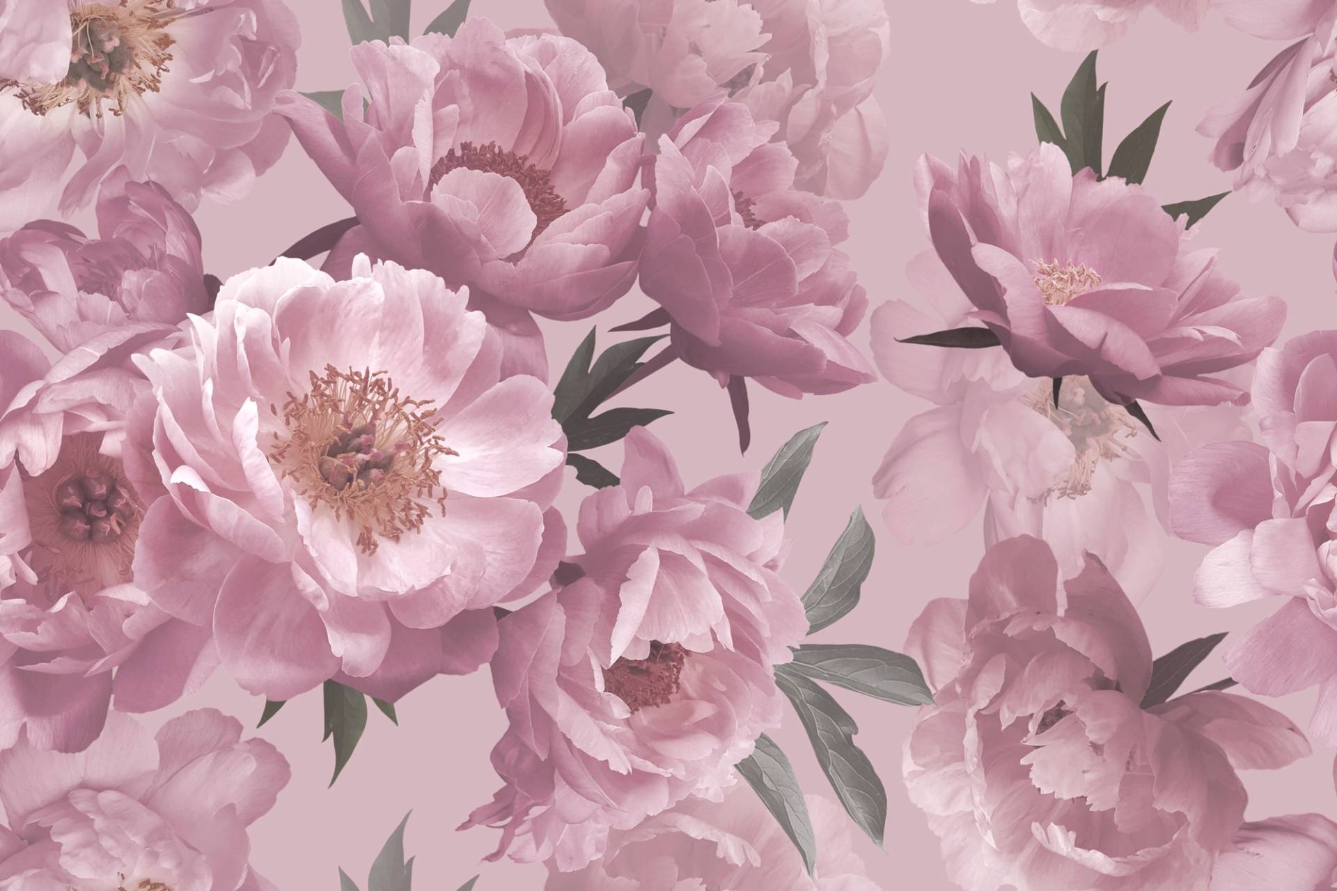 Papermoon Fototapete »BLUMEN ABSTRAKT-MUSTER DESIGN ROSEN BLUMEN DECOR RETRO« von Papermoon