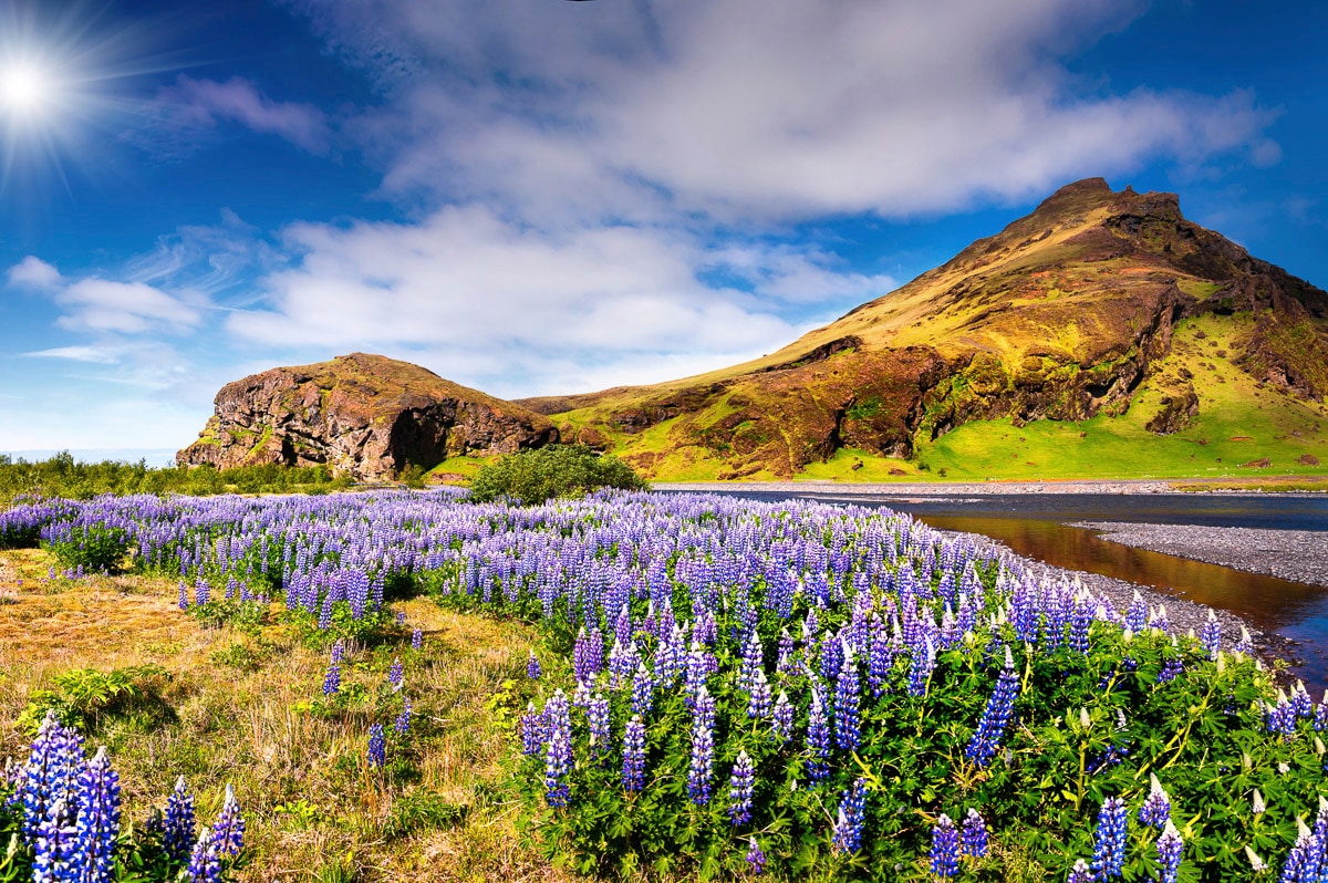 Papermoon Fototapete »BLUMEN LANDSCHAFT-SEE GEBIRGE BERGE LAVENDEL BLUME DEKO« von Papermoon