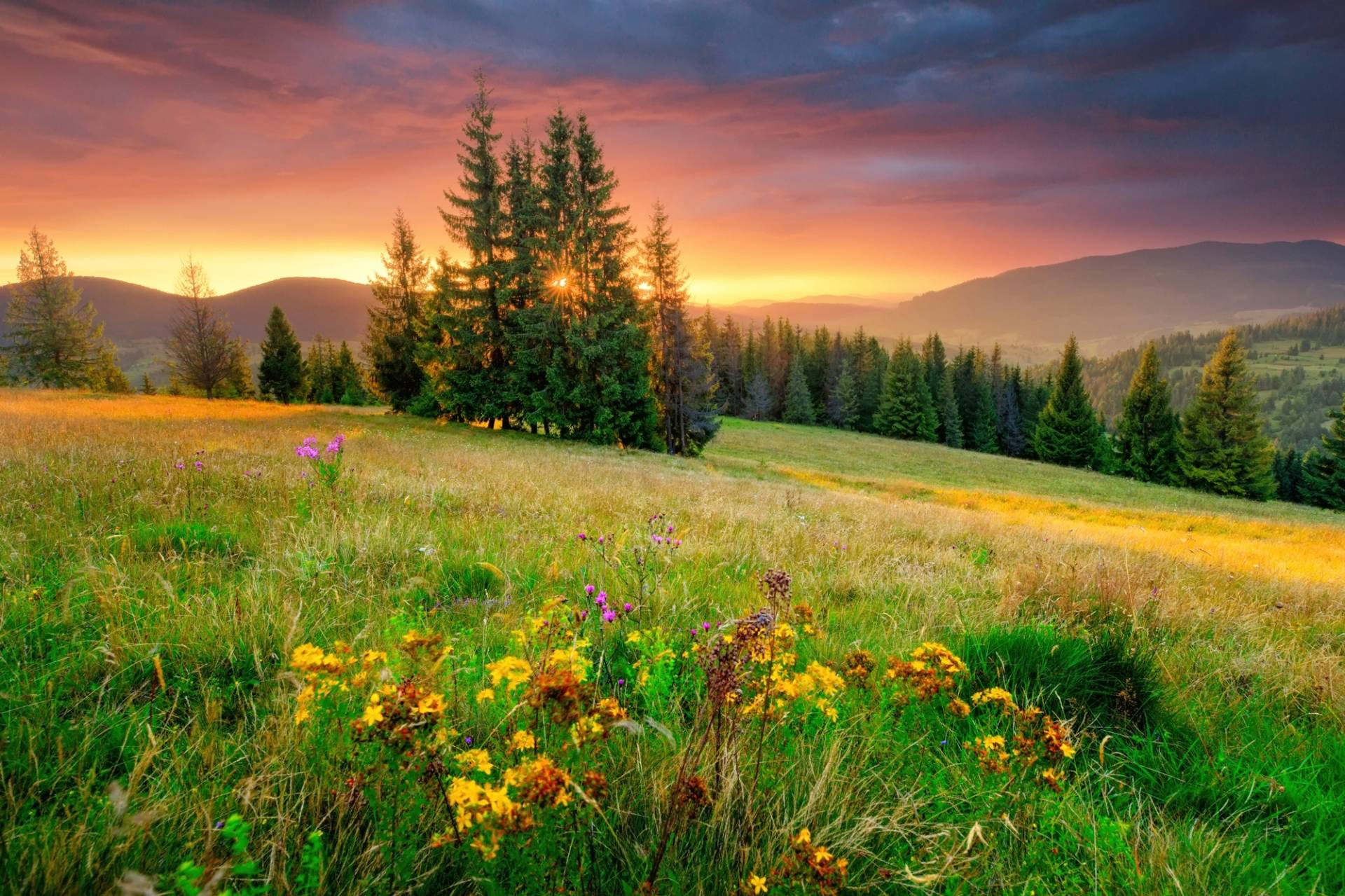 Papermoon Fototapete »BLUMEN-WIESE-GEBIRGE NATUR NEBEL GRÜN SONNE BERG HIMMEL« von Papermoon