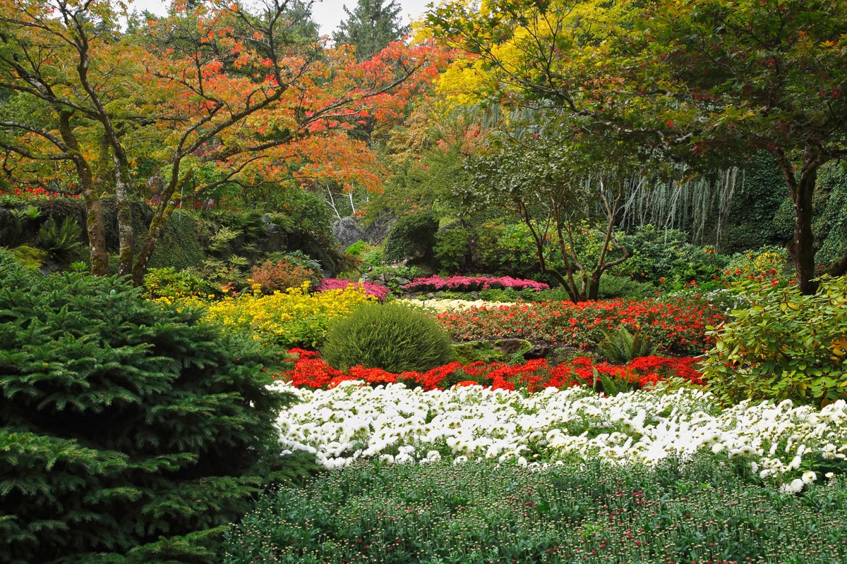 Papermoon Fototapete »Blumen Garten« von Papermoon