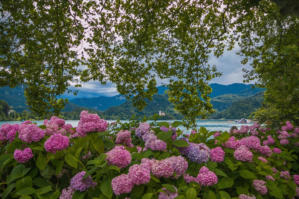 Papermoon Fototapete »Blumen am Fluss« von Papermoon