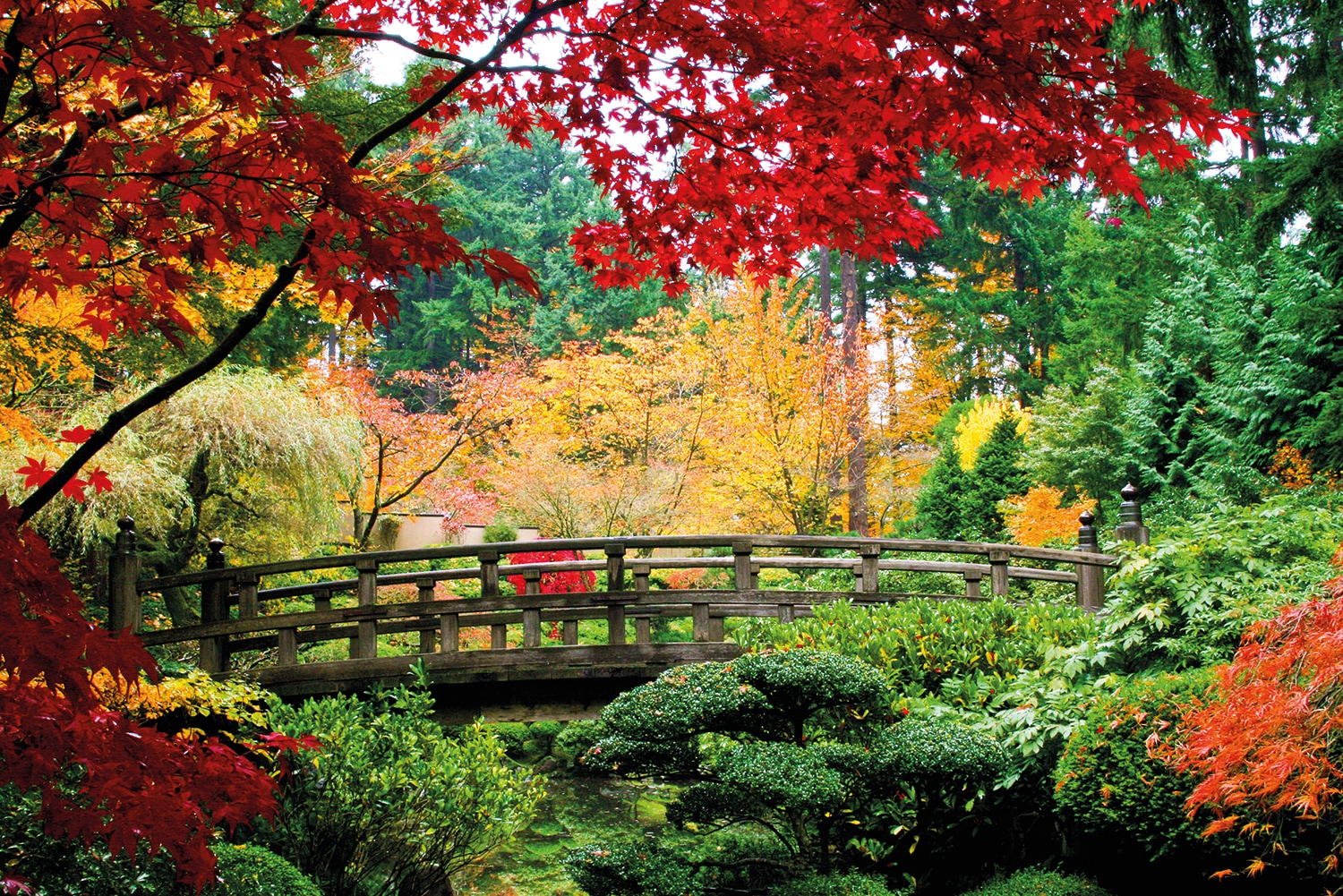 Papermoon Fototapete »Bridge in Japanese Garden« von Papermoon