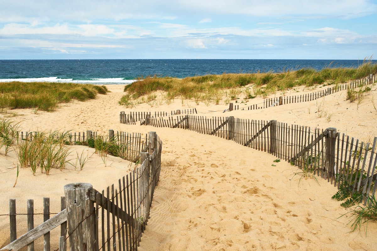 Papermoon Fototapete »Cape Cod Dünen« von Papermoon