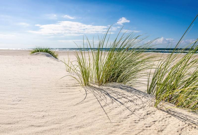 Papermoon Fototapete »DÜNEN-NATUR NORD SEE SAND STRAND MEER WÜSTE LANDSCHAFT« von Papermoon