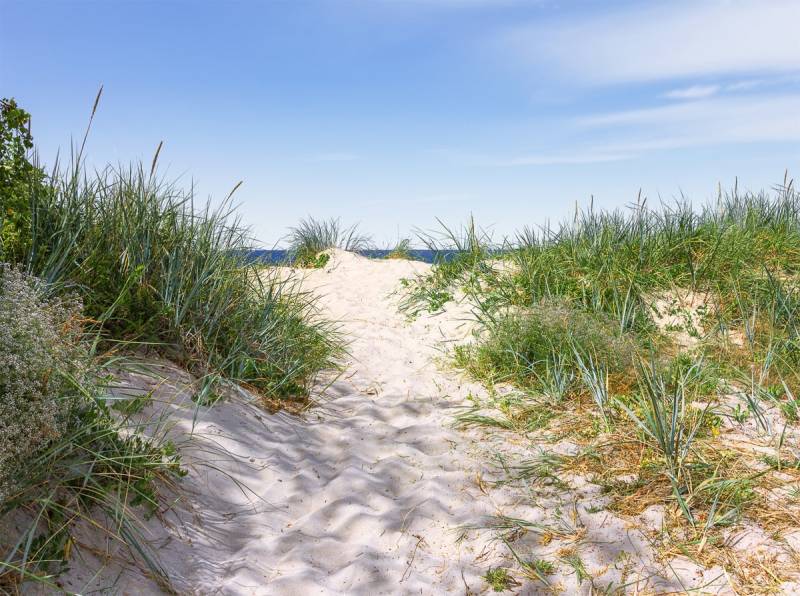 Papermoon Fototapete »Dünen in der Ostsee« von Papermoon