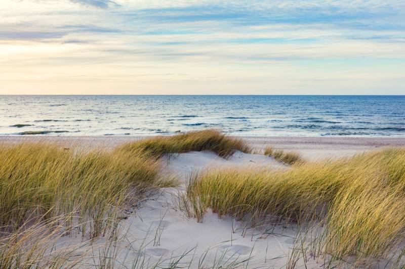 Papermoon Fototapete »Dünen in der Ostsee« von Papermoon