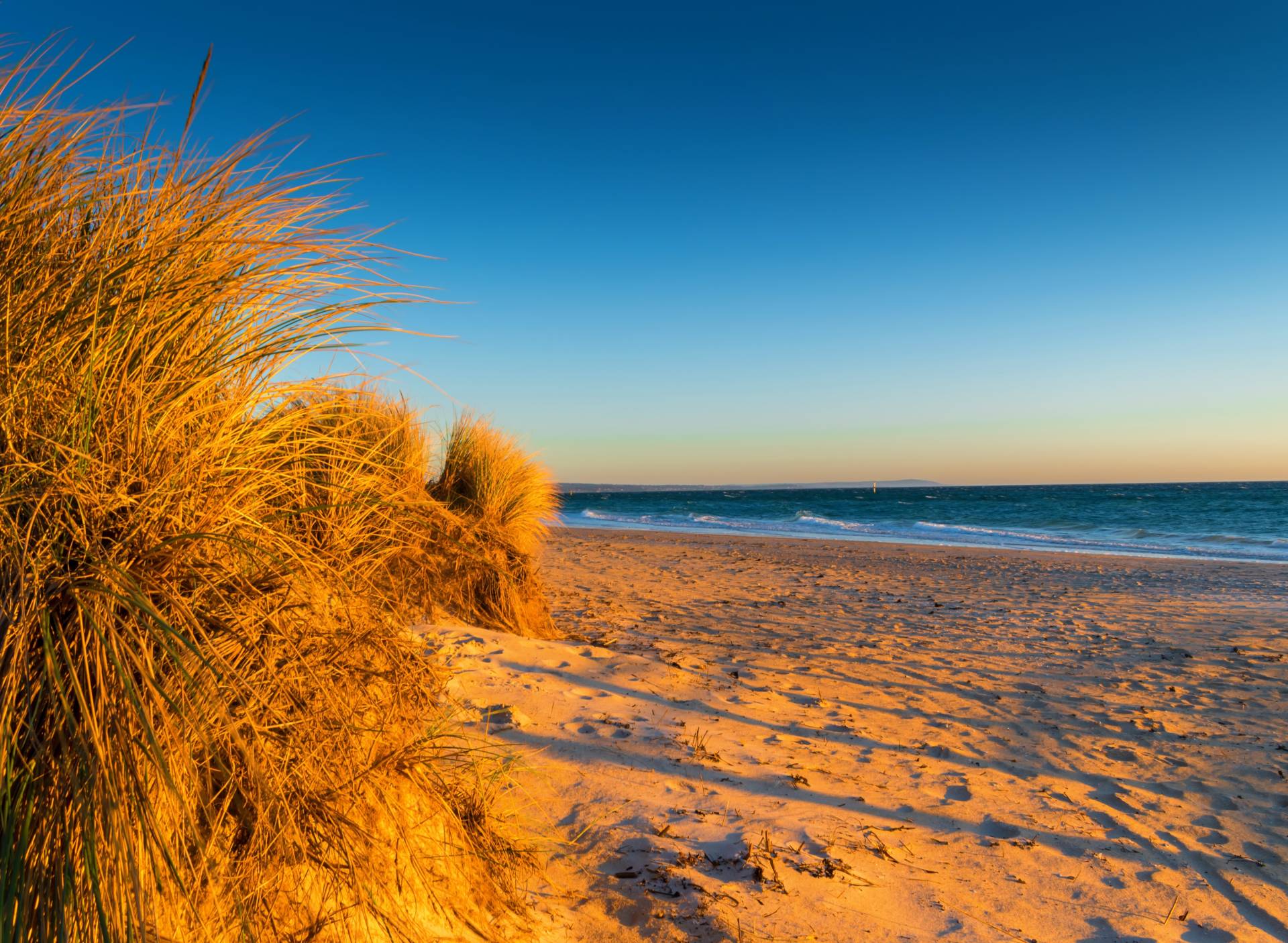 Papermoon Fototapete »Dunes Chelsea Beach Australia« Papermoon Fototapete »Dunes Chelsea Beach Australia« von Papermoon