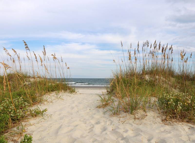 Papermoon Fototapete »Dunes Huntington Beach« von Papermoon