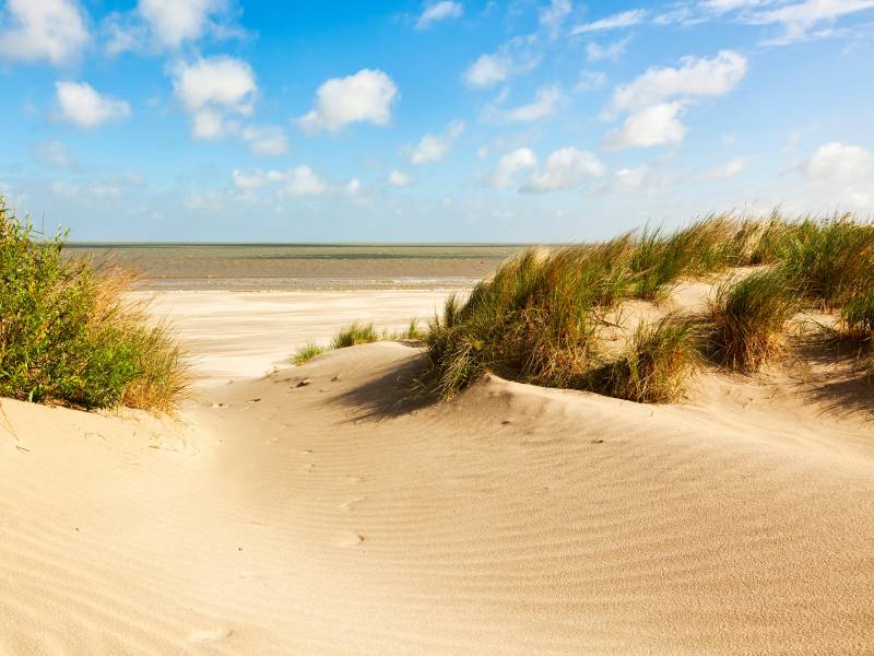 Papermoon Fototapete »Dunes Knokke-Heist« von Papermoon