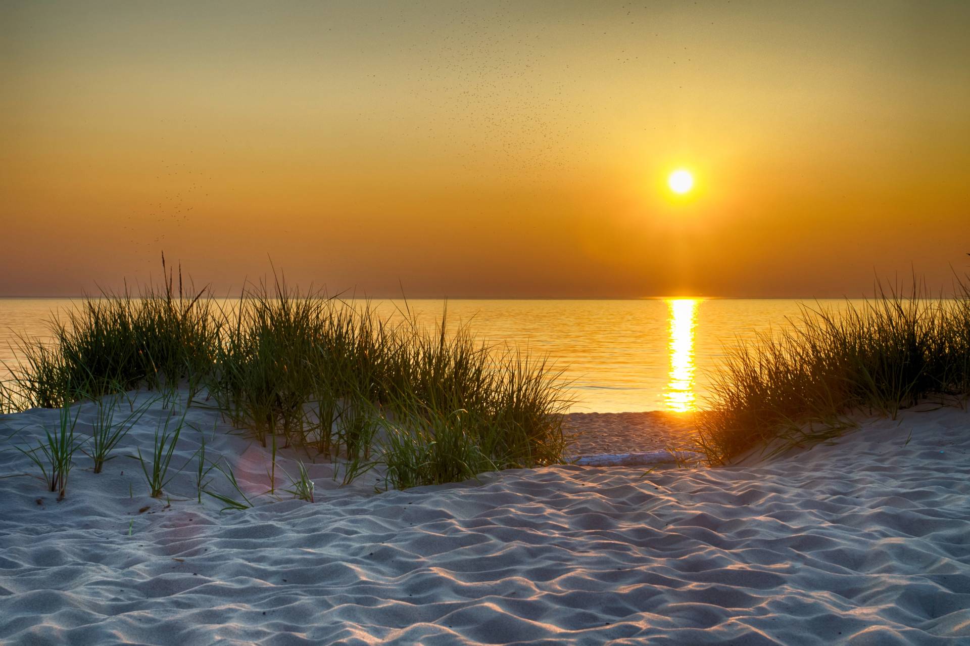 Papermoon Fototapete »Dunes Lake Michigan« von Papermoon