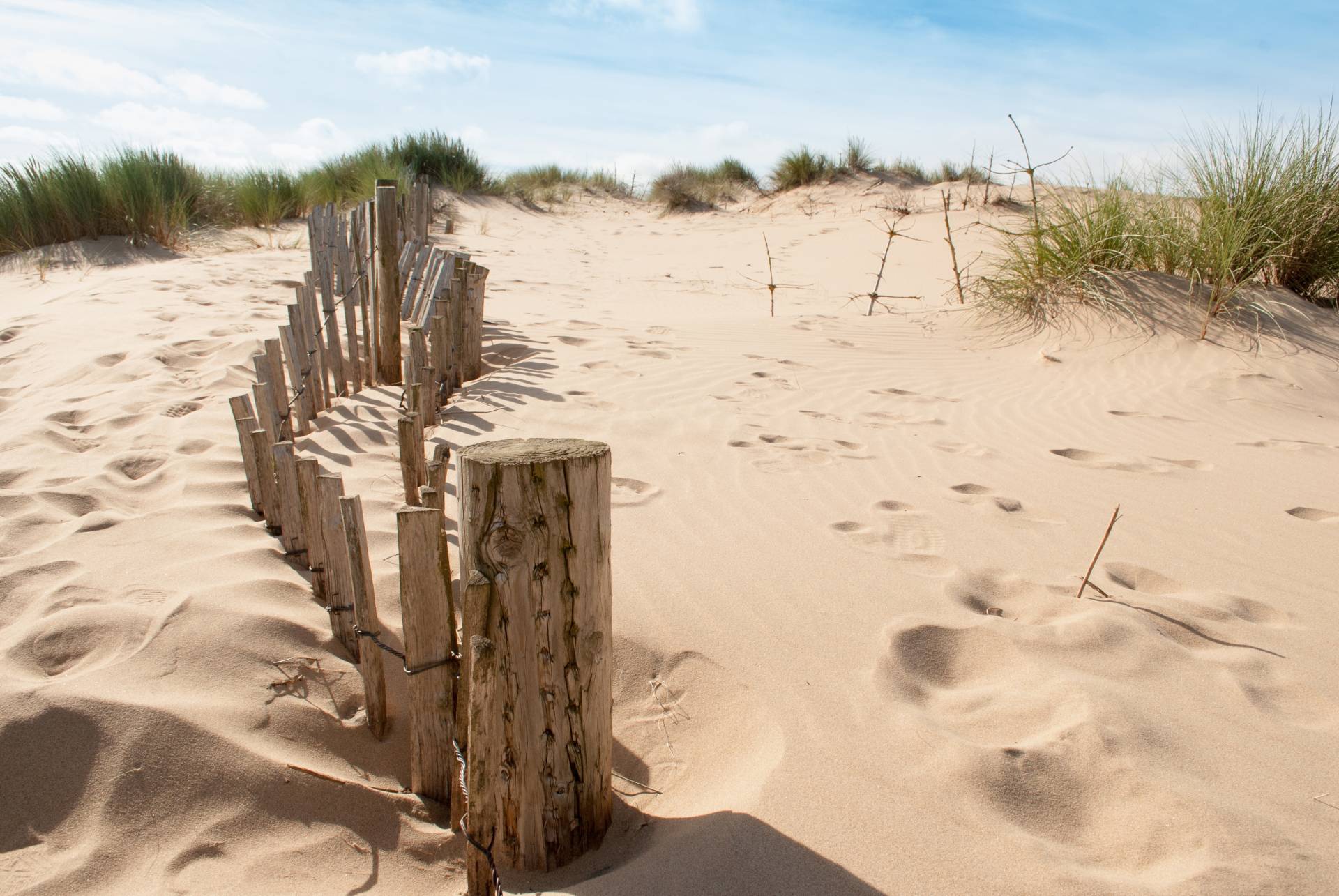 Papermoon Fototapete »Dunes Sandy Beach« von Papermoon