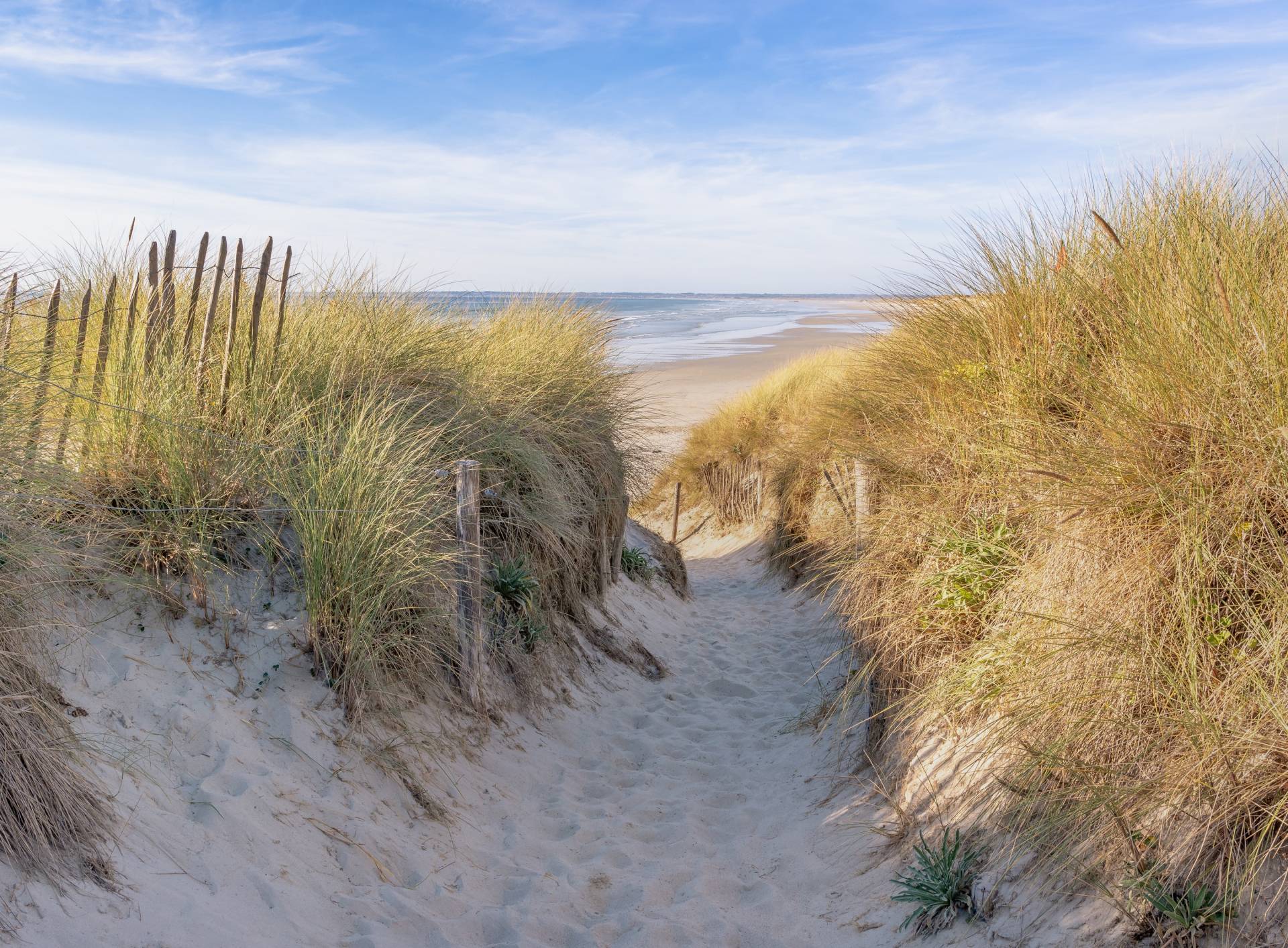 Papermoon Fototapete »Dunes in Bretagne« von Papermoon