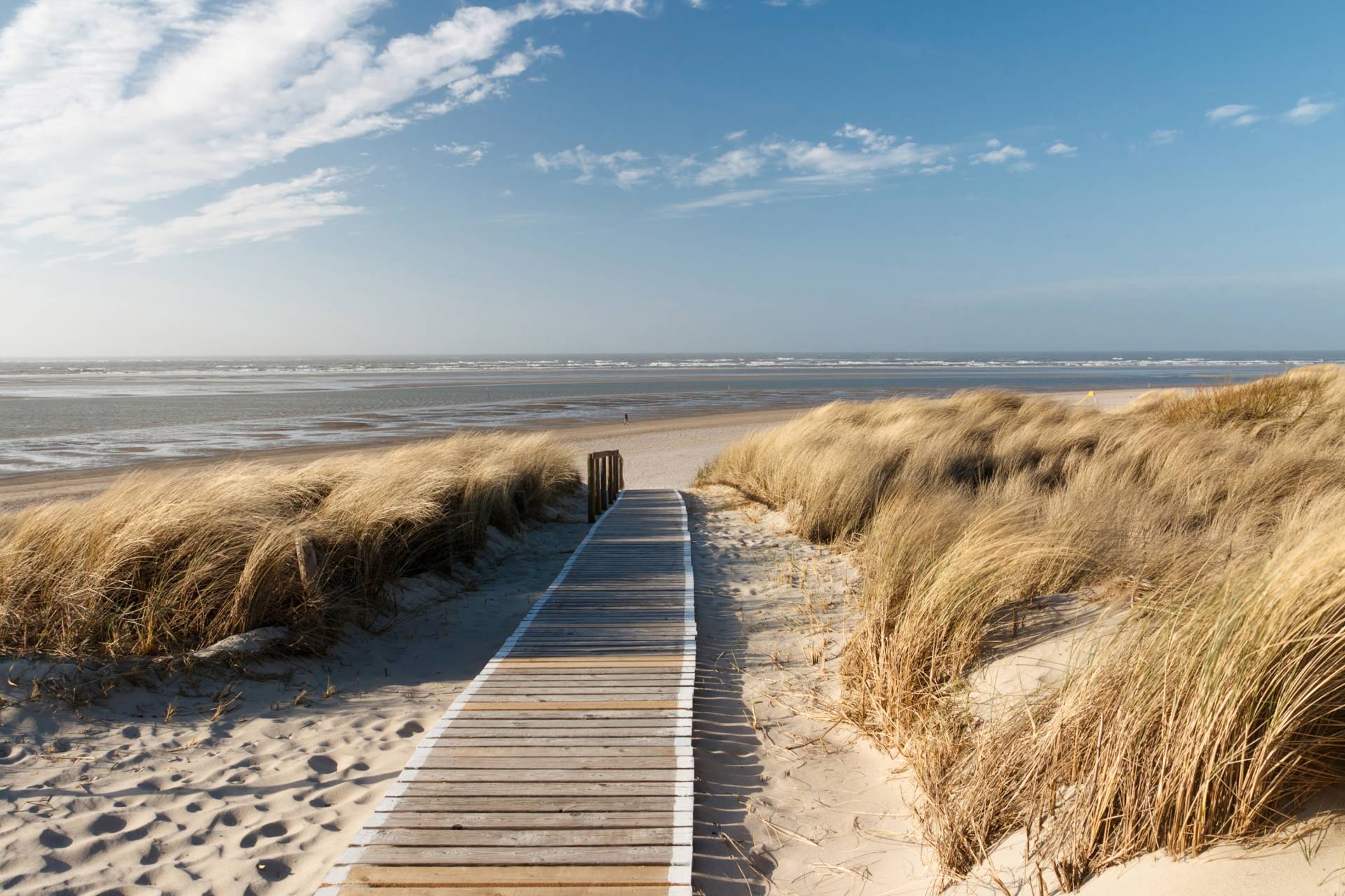 Papermoon Fototapete »Dunes in Langeoog« Papermoon Fototapete »Dunes in Langeoog« von Papermoon