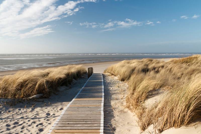 Papermoon Fototapete »Dunes in Langeoog« von Papermoon