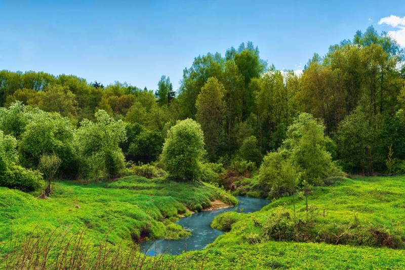 Papermoon Fototapete »FLUSS IM WALD-BAUM NATUR DSCHUNGEL SONNE WEG WASSERFALL« von Papermoon