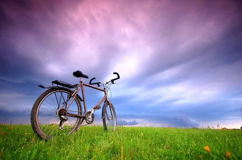 Papermoon Fototapete »Fahrrad in Grünland« von Papermoon