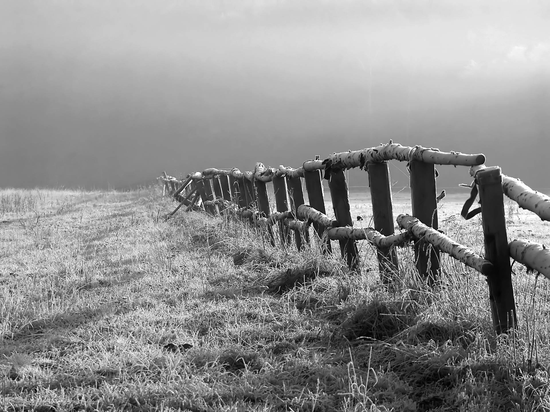 Papermoon Fototapete »Feld Schwarz & Weiss« von Papermoon