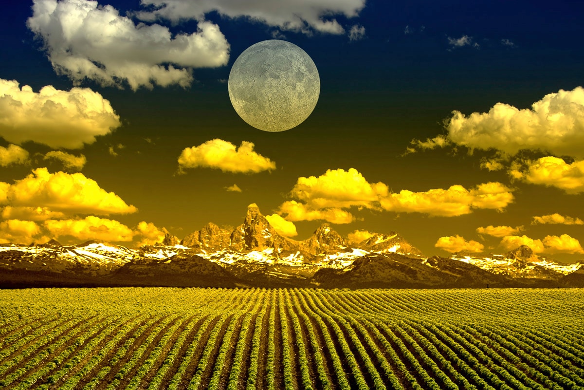 Papermoon Fototapete »Felder mit Mond« Papermoon Fototapete »Felder mit Mond« von Papermoon
