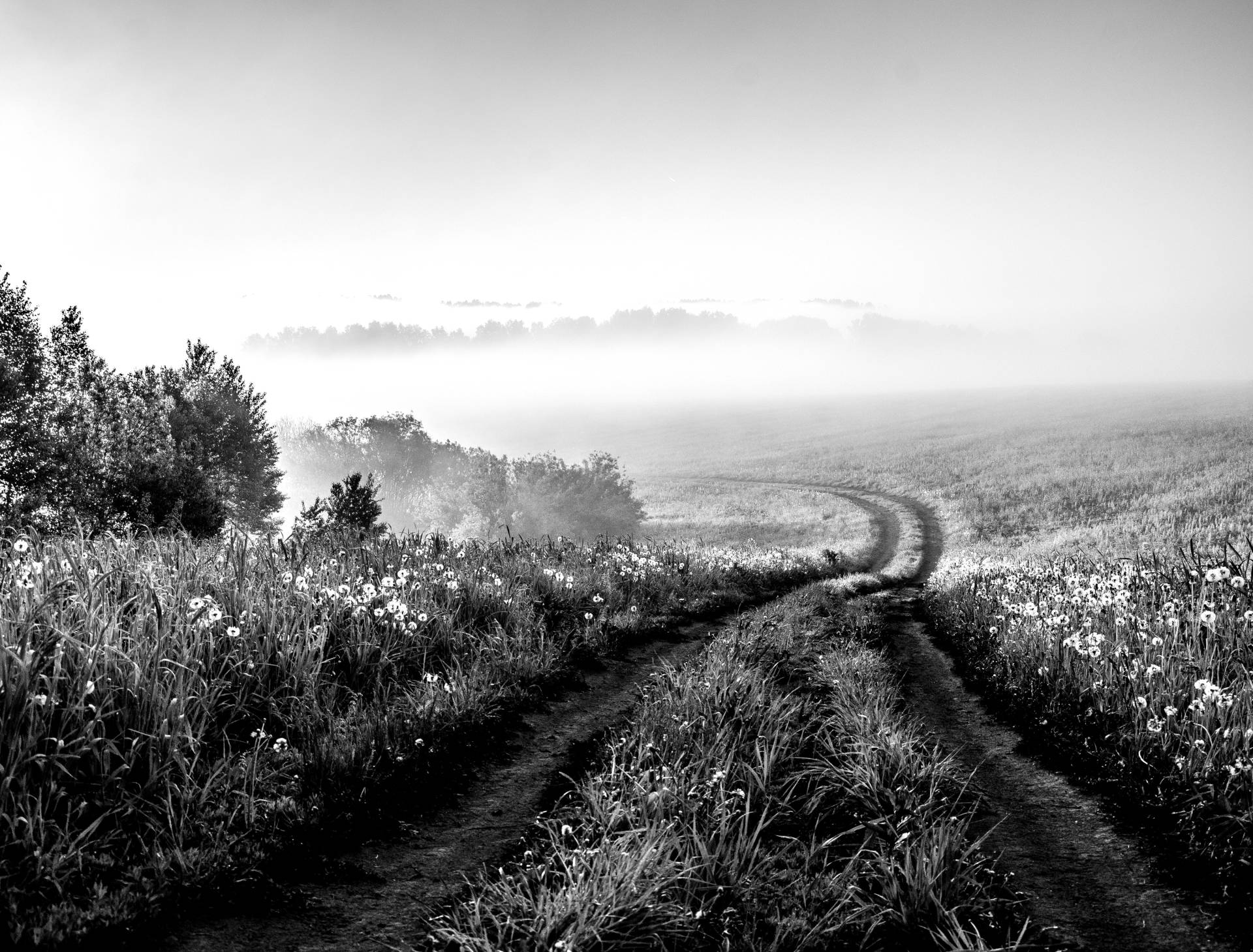 Papermoon Fototapete »Feldweg Schwarz & Weiss« von Papermoon