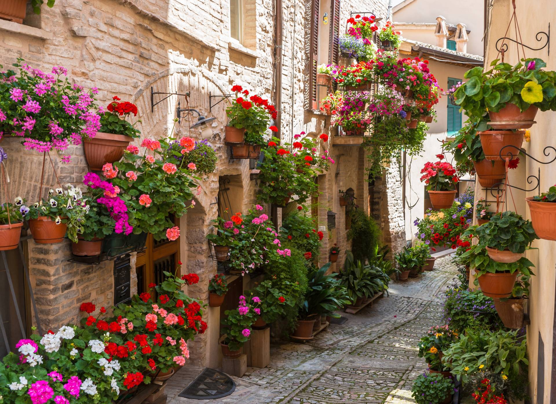 Papermoon Fototapete »Flower Alley in Spello« von Papermoon