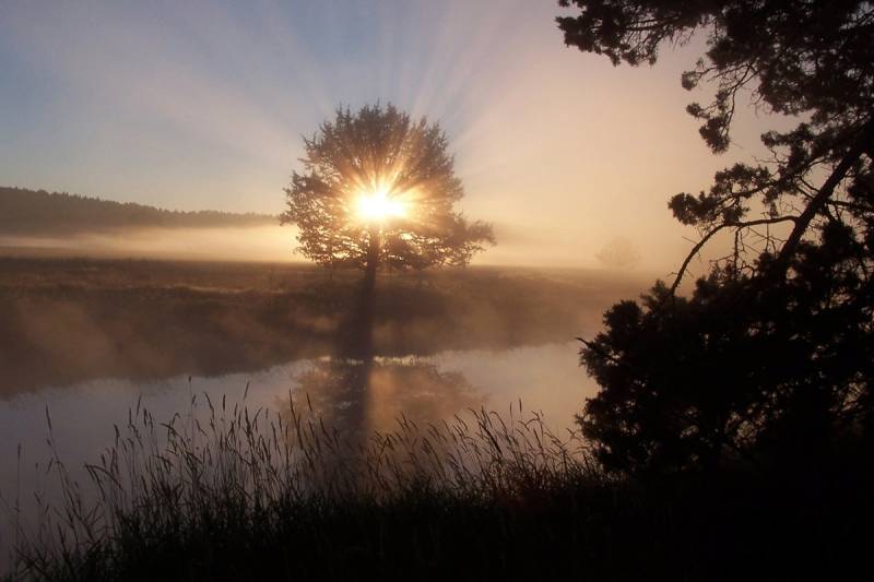 Papermoon Fototapete »Fluss Sonnenaufgang« von Papermoon