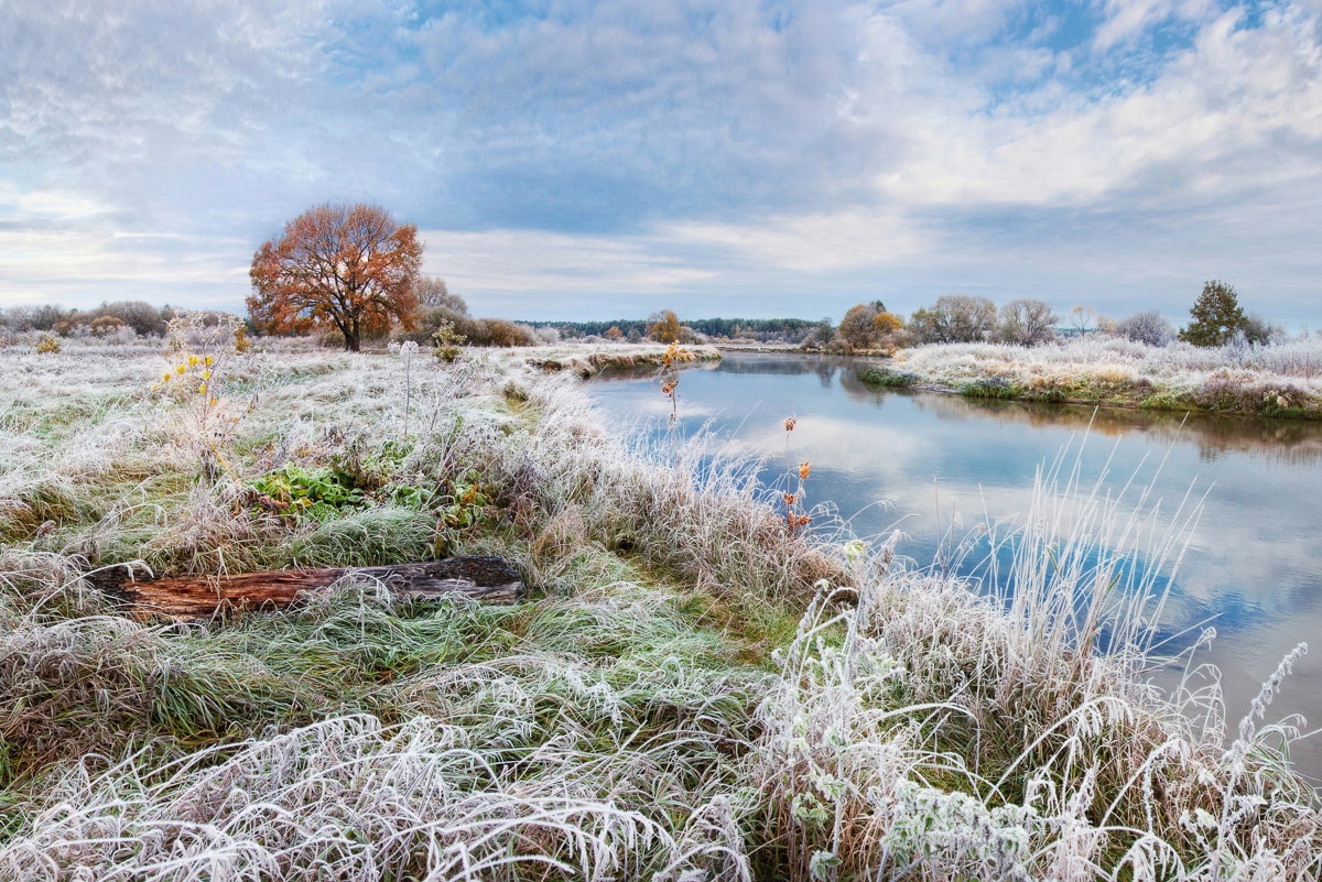 Papermoon Fototapete »Fluss in Schneelandschaft« von Papermoon